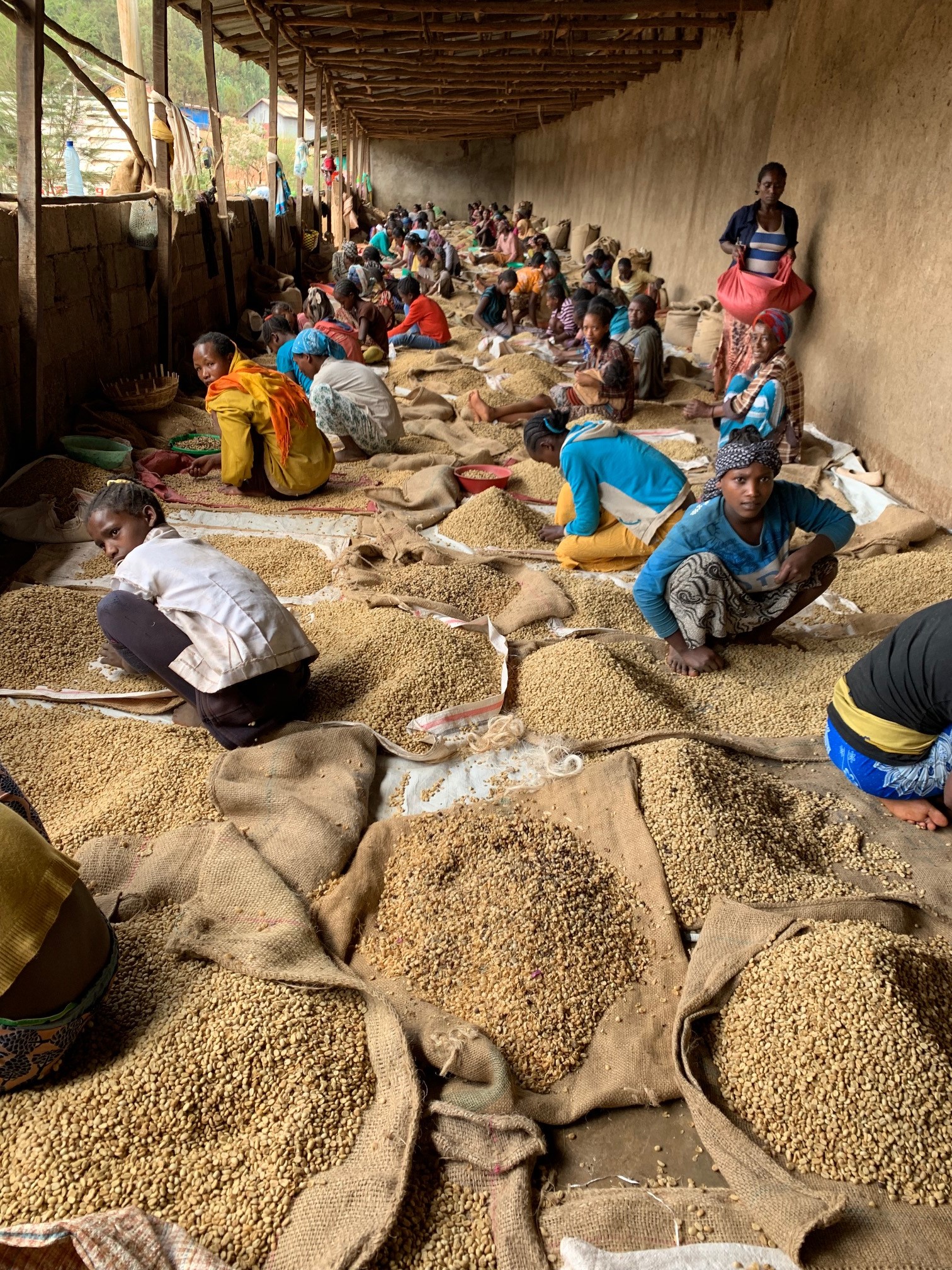 FAIRTRADE ORGANIC COFFEE